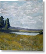 Field With Pond Metal Print