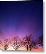 Fiery Winter Sunset With Line Of Bare Trees Metal Print