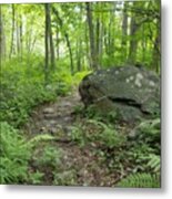 Find Your Path Metal Print