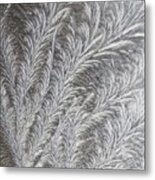 Fine Lined Cold Metal Print