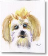 Finnegan Metal Print