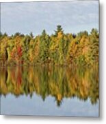 Firefly Lake Reflection #2 Metal Print