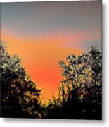 Firefly Metal Print