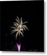 Firework Flower Metal Print