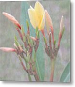 First Bud Metal Print