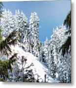 First November Snowfall Metal Print