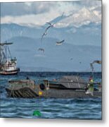 Fish Are Flying Metal Print