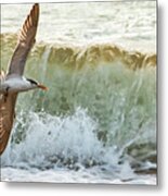 Fishing The Surf Metal Print