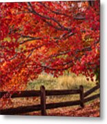 Flames On The Fence Metal Print