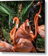 Flamingo Family Metal Print