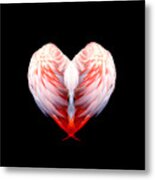 Flamingo Feathers Love Special Edition Metal Print