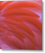 Flamingo Flow 3 Metal Print