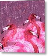 Flamingo Frenzy Metal Print