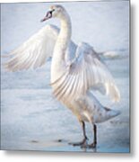 Flappin... Metal Print