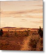 Flat Land Scenic Morocco View From Train Window Metal Print