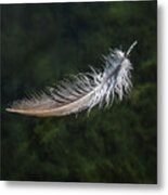 Floating Feather Metal Print