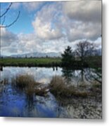 Flooding River, Field And Clouds Metal Print