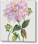 Floral Botanicals-jp3778 Metal Print
