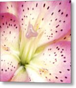 Floral I Metal Print