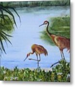 Florida Sand Cranes Metal Print