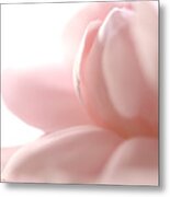 Flower Abstract Metal Print