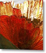 Flower Of Glass Metal Print