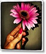 Pink Metal Print