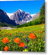 Flowering Valley. Mountain Karatash Metal Print