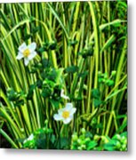 Flowers And Grass Metal Print