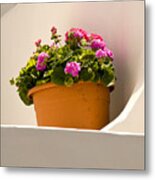 Flowers And White Wall Metal Print