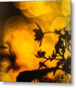 Flowers In The Dark Metal Print