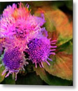 Flowers In The Garden Metal Print