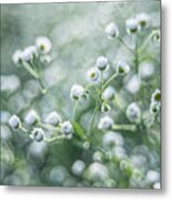 Flowers Metal Print