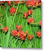 Flowers Singing Metal Print