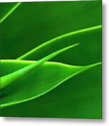 Flowing Green Metal Print