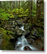 Flowing Through The Pacific Northwest Metal Print