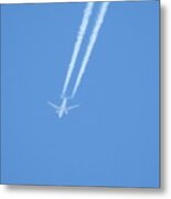 Fly Over The Ocean Metal Print