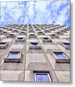 Flying Like A Bird Metal Print