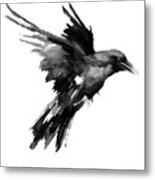 Flying Raven Metal Print