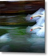 Flying Swans Abstract Metal Print