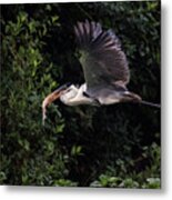 Flying With Lunch Metal Print