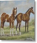 Foals In Pasture Metal Print