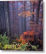 Fog And Forest Colours Metal Print