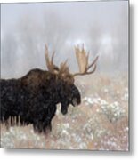 Foggy Moose Silhouette Metal Print