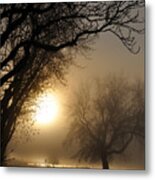 Foggy Morn Metal Print