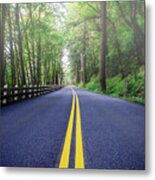 Foggy Oregon Road Metal Print