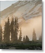 Foggy Sunset Over Pines Metal Print