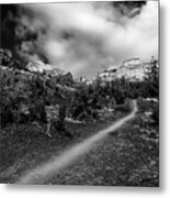 Follow Me No23 Metal Print