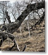 Fone Hill Cemetery Metal Print