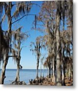 Fontainebleau State Park - 2 Metal Print